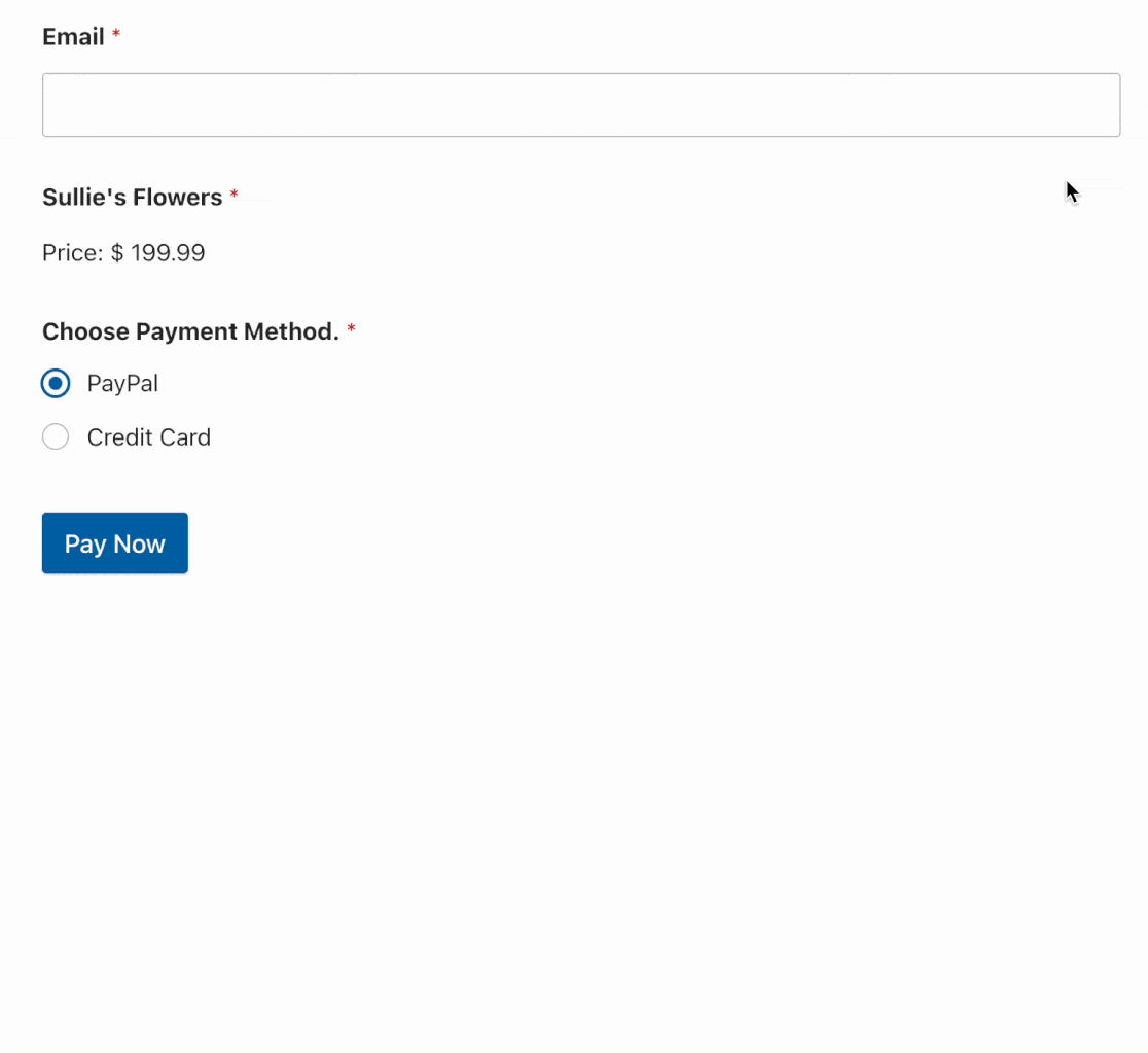 Choosing a Payment Method Choosing a payment method
