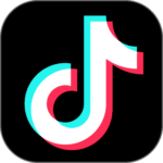 TikTok Conversions logo