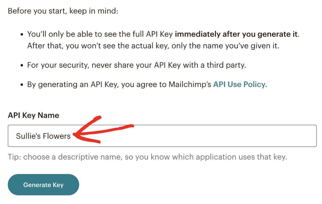 API Key Name API key name