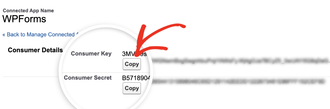 Copying Your Consumer Key in Saleforce - WPForms Copying your Consumer Key in Salesforce