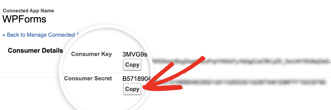 Copy Consumer Secret in Salesforce - WPForms Copying your Consumer Secret in Salesforce